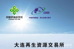 大連再生誠招代理與會(huì)員——攜手共創(chuàng)財(cái)富未來