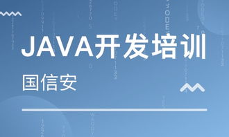 成都四川國信安職業(yè)培訓(xùn)學(xué)校 河北新聞網(wǎng)推薦品牌，專注軟件外包服務(wù)